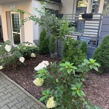 Premium Centrum Kalisza *